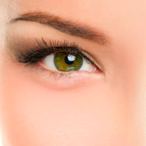 Yılan Yapısı 1745875777