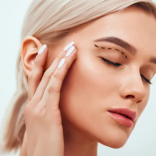 Yılan Yapısı 1425229741