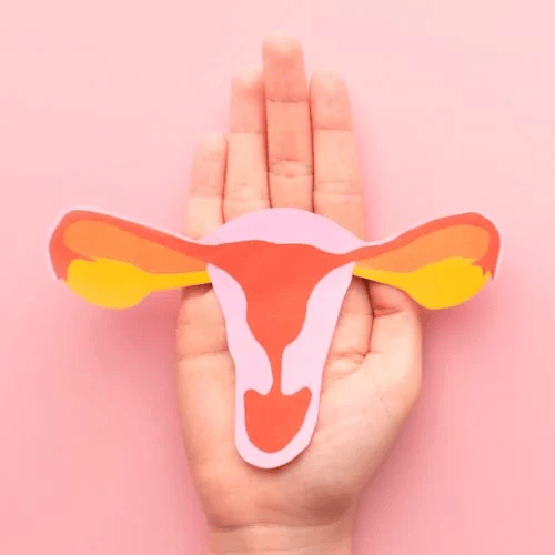 Yılan Yapısı 2023163861