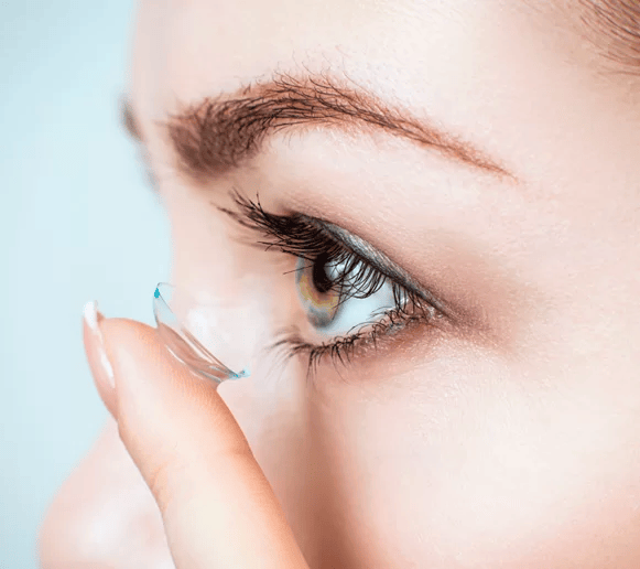 Yılan Yapısı 1681377926