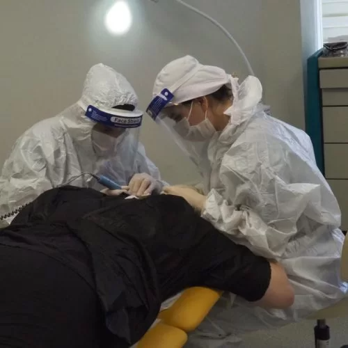 Yılan Yapısı 347088802