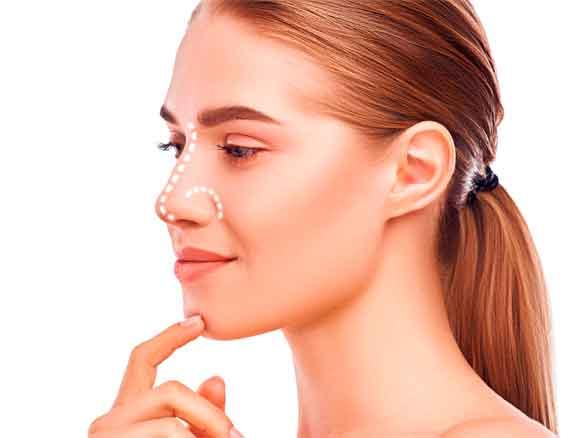 Yılan Yapısı 538620430