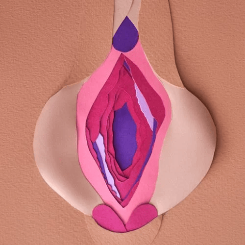 Yılan Yapısı 1375007435