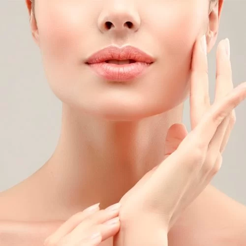 Yılan Yapısı 1808323388