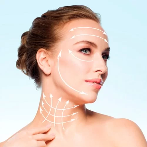 Yılan Yapısı 583911315