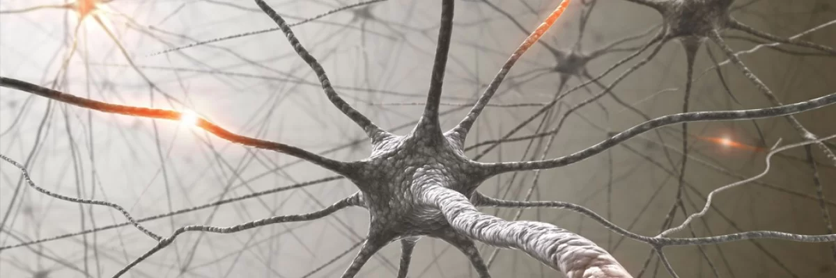 Неврология