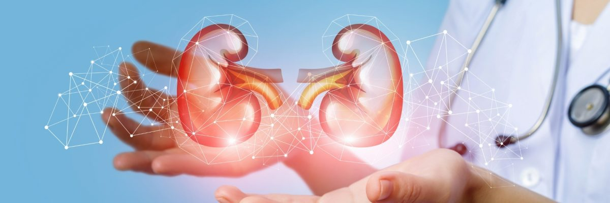 Нефрология